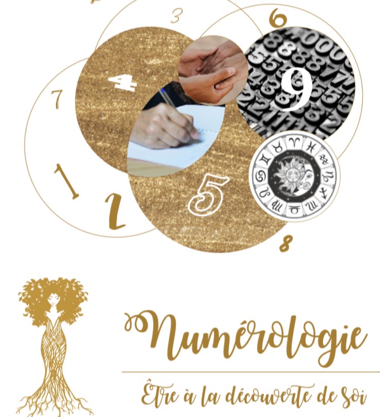 Affiche de la formation Numérologie